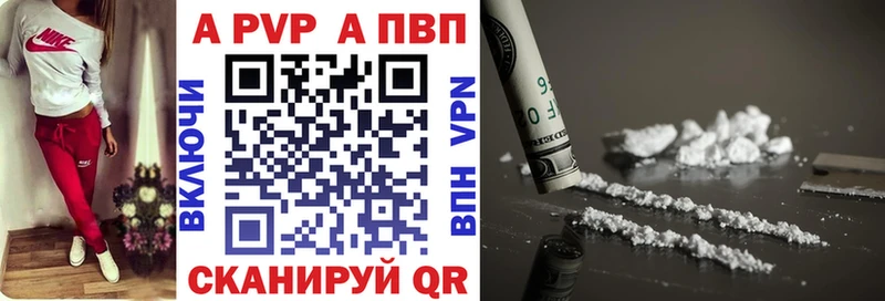 как найти   Закаменск  A PVP крисы CK 
