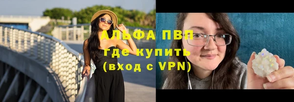 сатива Балахна