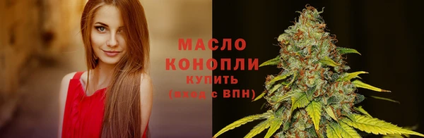 сатива Балахна