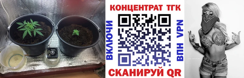 omg рабочий сайт где купить наркоту Закаменск ТГК вейп