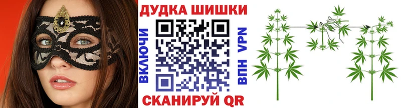 Бошки марихуана сатива  Закаменск 